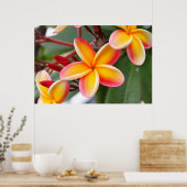 Red and Yellow Plumeria Flowers 3 ポスター (キッチン)