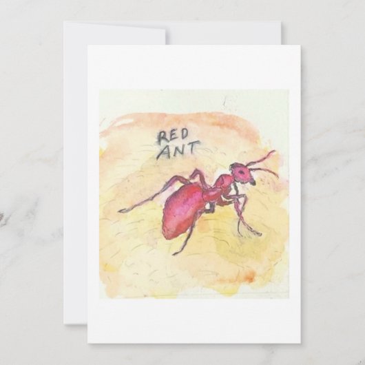 Red Ant Greeting Card 招待状 (正面)