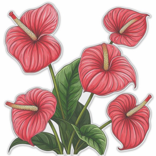 Red Anthurium Flowers with Green Leaves シール (正面)