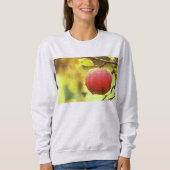 「Red Apple on Tree」かわいい写真。買今 スウェットシャツ (正面)