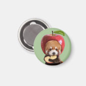 Red Apple Panda マグネット (正面/裏面)