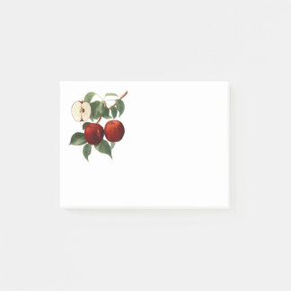 Red Apples Botanical Teacher Name 4x3 ポストイット