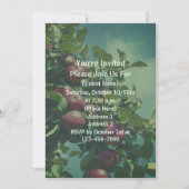 Red Apples On Tree Nature  招待状 (正面)