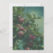 Red Apples On Tree Nature 招待状 (裏面)