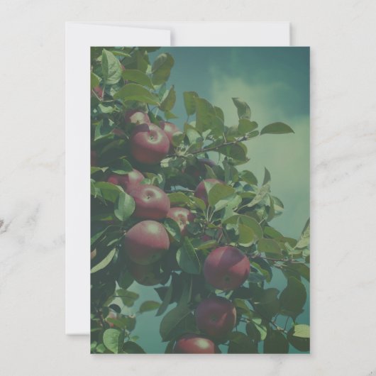 Red Apples On Tree Nature  招待状 (裏面)