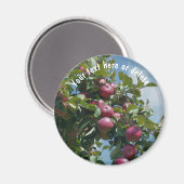 Red Apples On Tree Nature Personalized マグネット (正面/裏面)