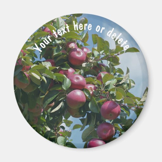 Red Apples On Tree Nature Personalized マグネット (正面)