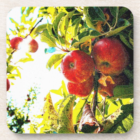 "Red Apples Tree On Sunny Day" Cute Photo. Buy Now コースター (正面)