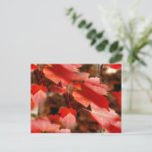 Red Autumn Leaves Nature Photography Personalized ポストカード (スタンド正面)