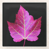 Red Autumn Maple Leaf on Black Floral ガラスコースター (正面)