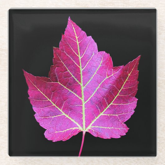 Red Autumn Maple Leaf on Black Floral ガラスコースター (正面)