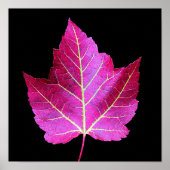 Red Autumn Maple Leaf on Black Floral ポスター (正面)