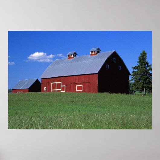 Red barn in Latah County, Idaho州PR MR.) ポスター (正面)