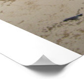 Red Barns in Winter – ポスター (角)