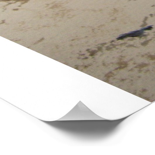 Red Barns in Winter – ポスター (角)