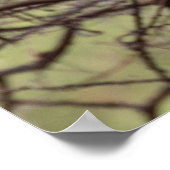 Red-bed Hornbill — SavannahのSentinel ポスター (角)