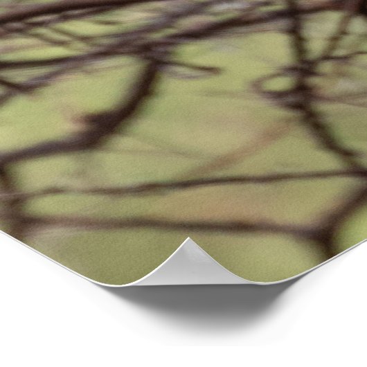 Red-bed Hornbill — SavannahのSentinel ポスター (角)