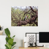 Red-bed Hornbill — SavannahのSentinel ポスター (ホームオフィス)