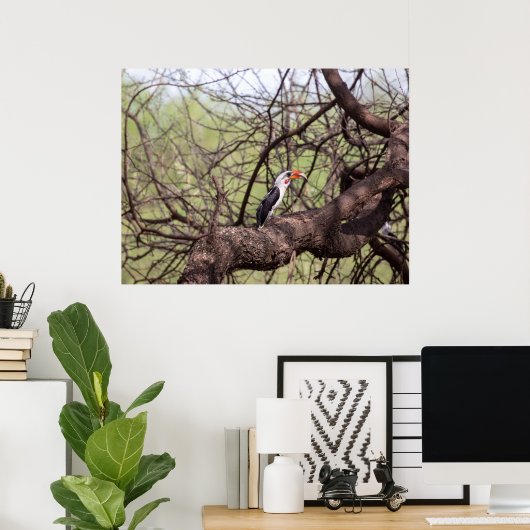 Red-bed Hornbill — SavannahのSentinel ポスター (ホームオフィス)