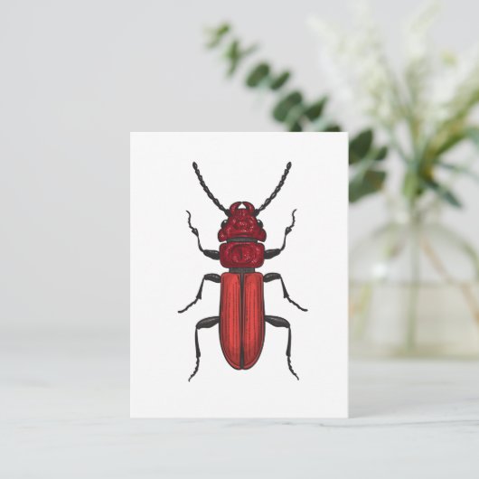 Red beetle ポストカード (スタンド正面)