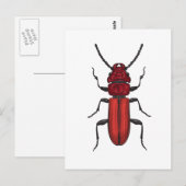 Red beetle ポストカード (正面/裏面)