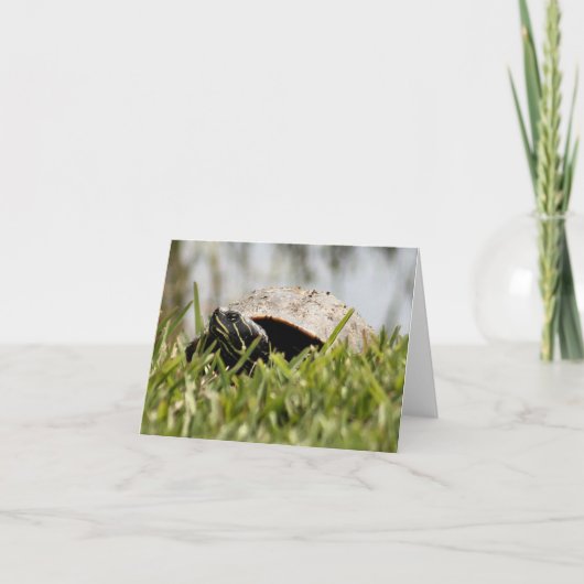 Red Bellied Turtle Photo Folded Note Card ノートカード (正面)