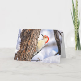 Red-bellied Woodpecker Christmas Card シーズンカード