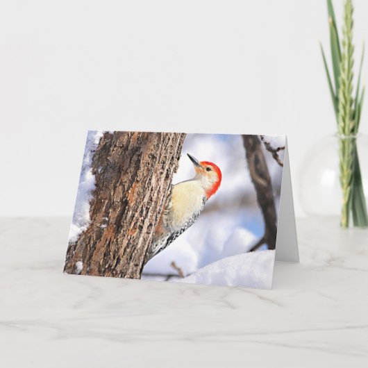 Red-bellied Woodpecker Christmas Card シーズンカード (正面)
