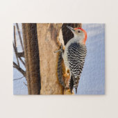 Red-Bellied Woodpecker Jigsaw Puzzle ジグソーパズル (横)