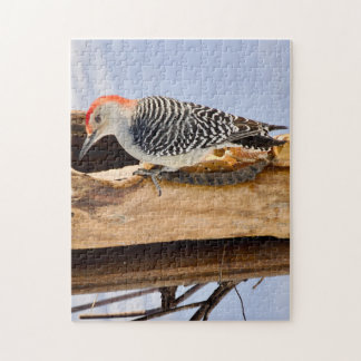 Red-Bellied Woodpecker Jigsaw Puzzle ジグソーパズル