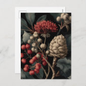 Red Berries and Exotic Seed Pods on Black シーズンポストカード (正面/裏面)