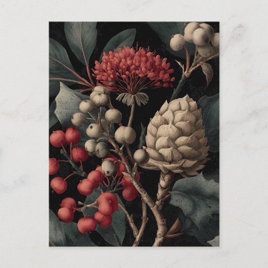 Red Berries and Exotic Seed Pods on Black シーズンポストカード (正面)