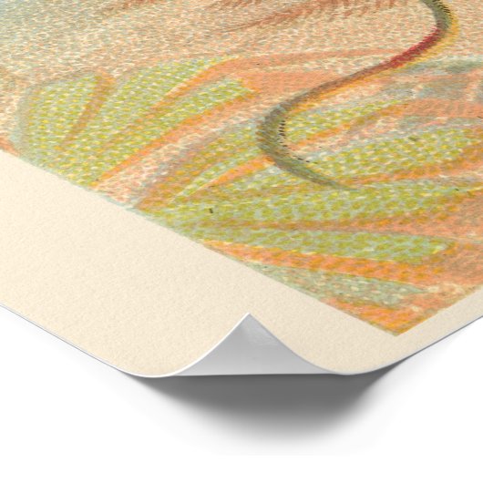 Red Bird of Paradise, Gallery Wall Set of 6, 1/6 ポスター (角)