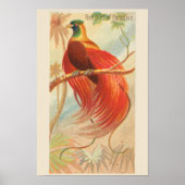 Red Bird of Paradise, Gallery Wall Set of 6, 1/6 ポスター (正面)