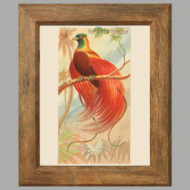 Red Bird of Paradise, Gallery Wall Set of 6, 1/6 ポスター