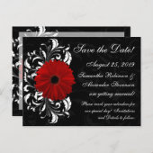 Red+Black+White Gerberaデイジー日付の保存 案内ポストカード (正面/裏面)