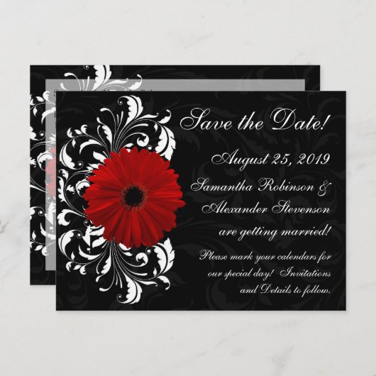 Red+Black+White Gerberaデイジー日付の保存 案内ポストカード (正面/裏面)