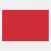 Red, Black & White Plaid ラッピングペーパーシート (正面2)