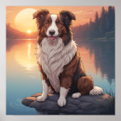 Red Border Collie ポスター (正面)