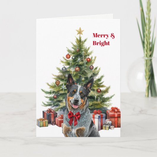 Red Bow Australian Cattle Dog Christmas Tree Card シーズンカード (正面)