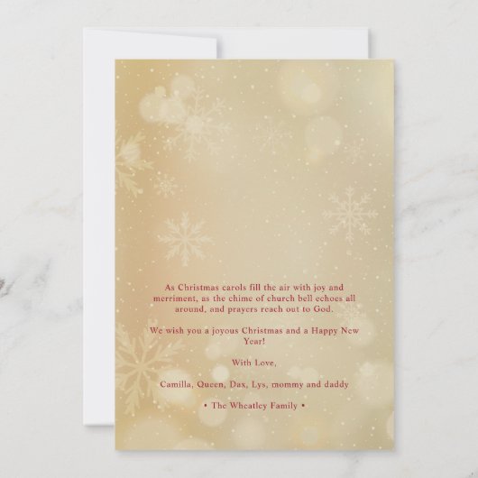 Red Bow Snowflakes Christmas Round Family Photo (裏面)