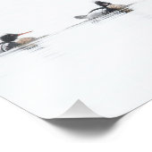 Red Breasted Merganser Photoプリントon Fogy Lake フォトプリント (角)