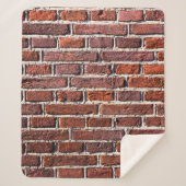 Red brick wall stone bricks masonry シェルパブランケット (正面)