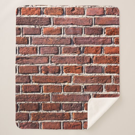 Red brick wall stone bricks masonry シェルパブランケット (正面)