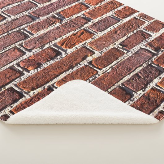 Red brick wall stone bricks masonry シェルパブランケット (3/4)