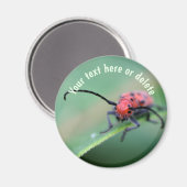 Red Bug With Attitude Nature Personalized マグネット (正面/裏面)