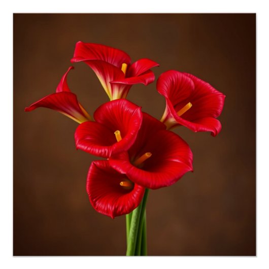 red callas ポスター (正面)