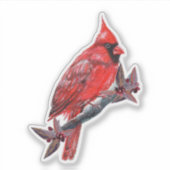 Red cardinal bird sticker Renee Lavoie シール (正面)