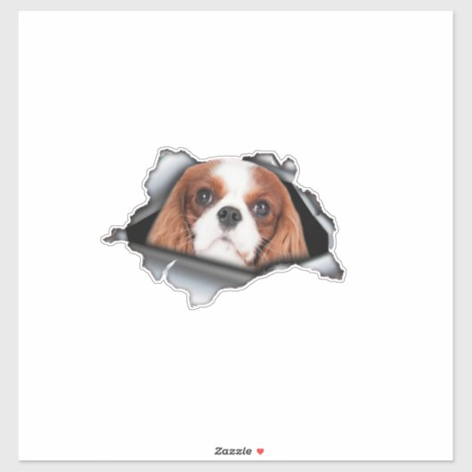 Red Cavalier King car decal, Red Cavalier King シール (シート)