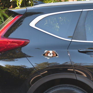 Red Cavalier King car decal, Red Cavalier King シール